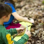 Kindergeburtstag im Wald